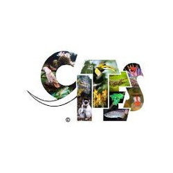 Die CITES Situation