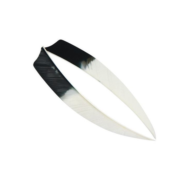 Naturfeder 5 Zoll RW Shield