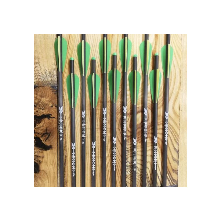 12 Armbrustbolzen Alamandia Classic 12 Armbrustbolzen Alamandia Classic