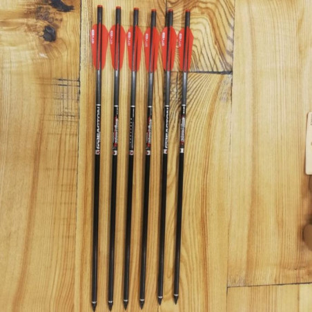 Carbonbolzen EASTON Bloodline 20 Zoll
