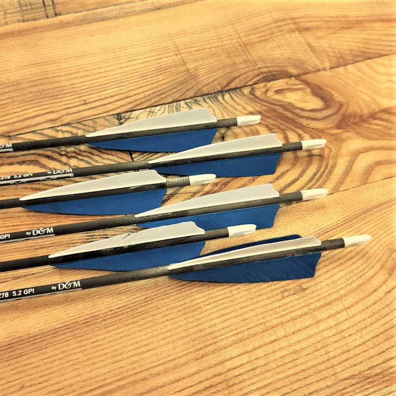 6er Set Carbonpfeil Blue alamandia defender