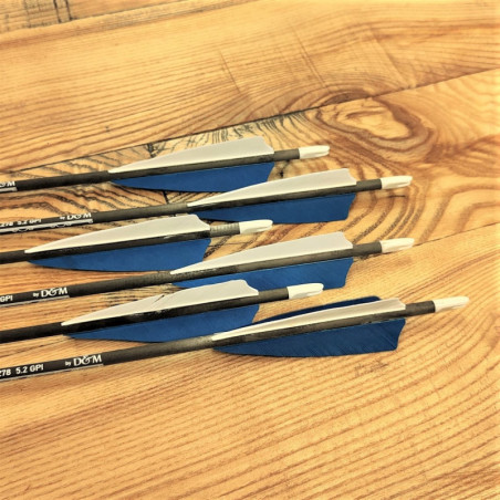 6er Set Carbonpfeil Blue alamandia defender