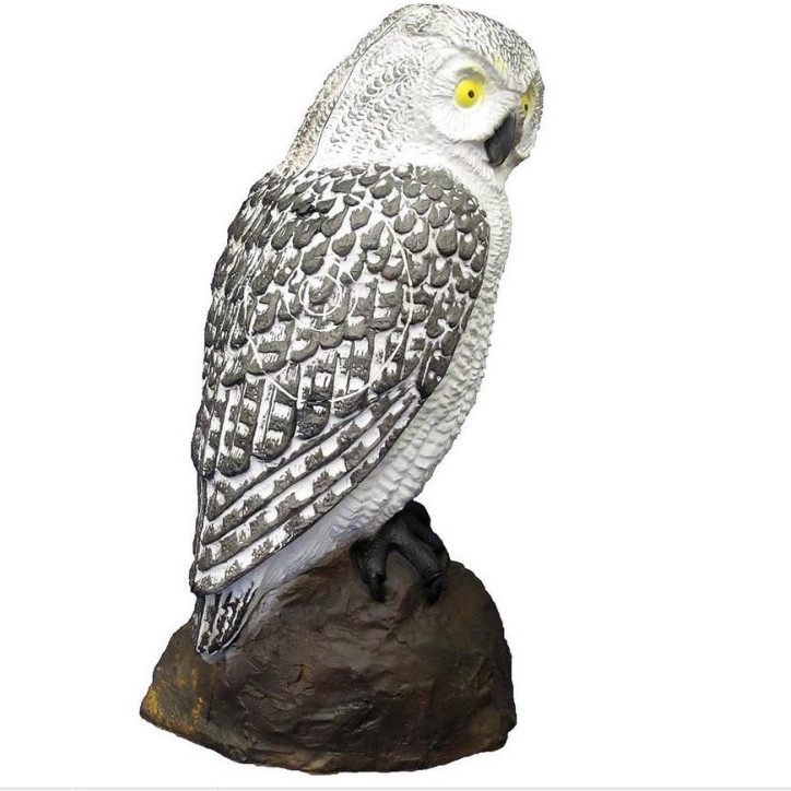 SRT Schnee-Eule Polar