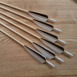 6er Set Holzpfeil BT Standard