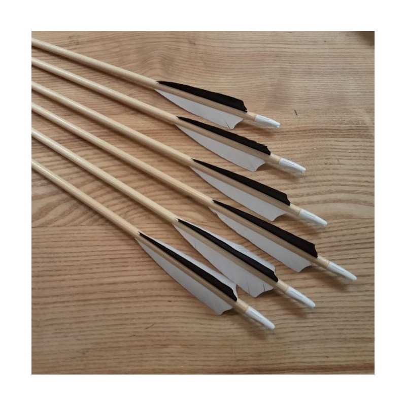 6er Set Holzpfeil BT Standard