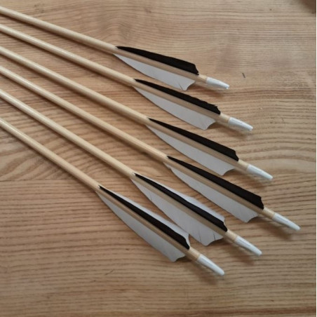6er Set Holzpfeil BT Standard