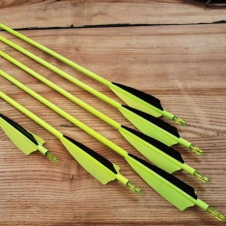 6er Set Carbonpfeil Yellow alamandia defender