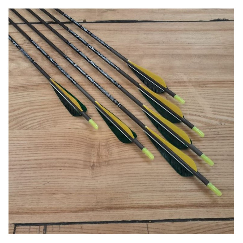 6er Set Carbonpfeil Skylon 700/29"