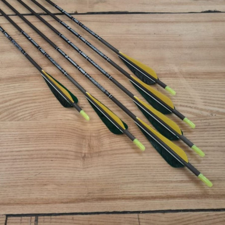 6er Set Carbonpfeil Skylon 700/29"
