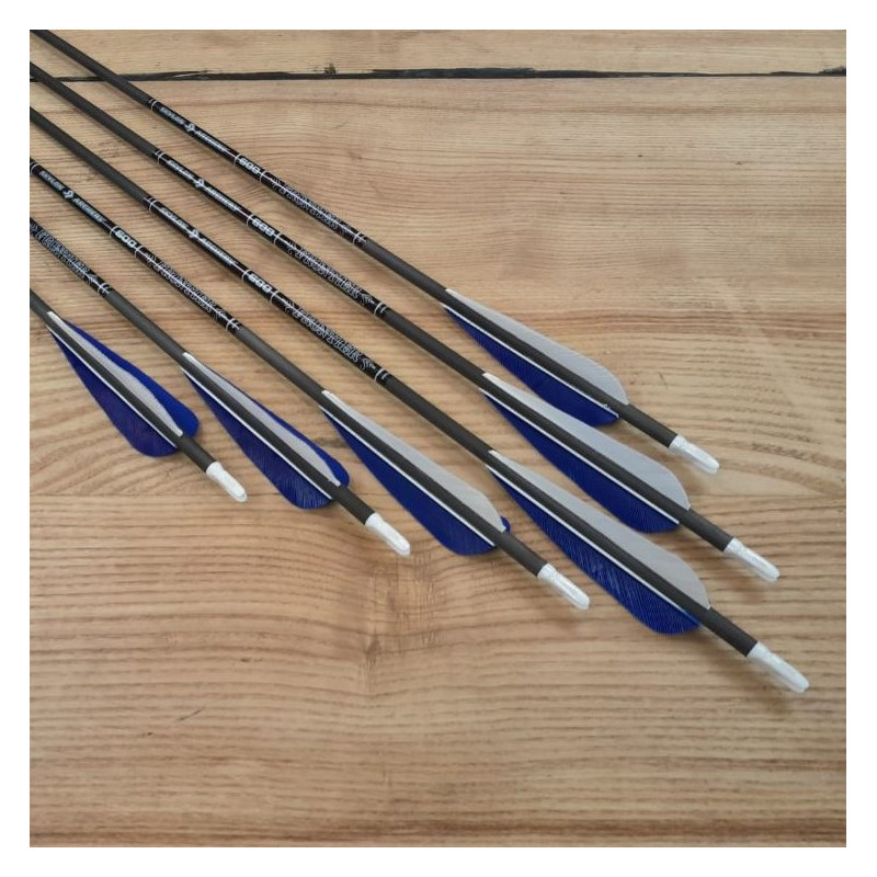 6er Set Carbonpfeil Skylon 700/29" gg