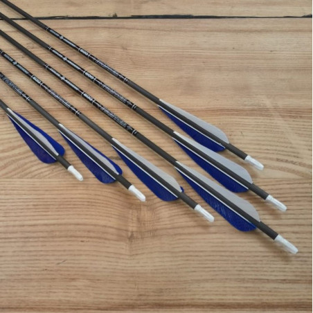 6er Set Carbonpfeil Skylon 700/29" gg