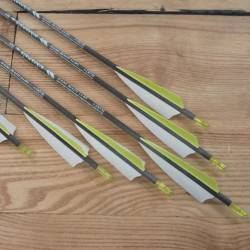6er Set Carbonpfeil Yellow alamandia defender