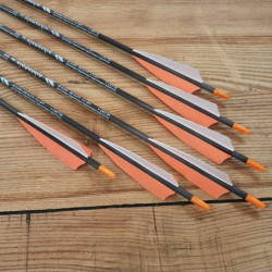 6er Set Carbonpfeil Defender Custom3