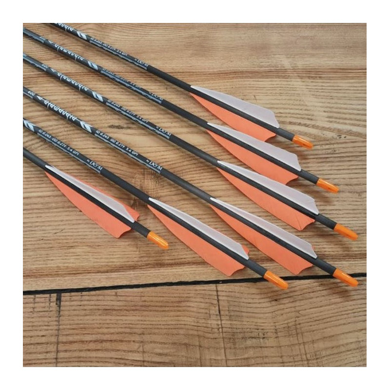 6er Set Carbonpfeil Defender Custom3