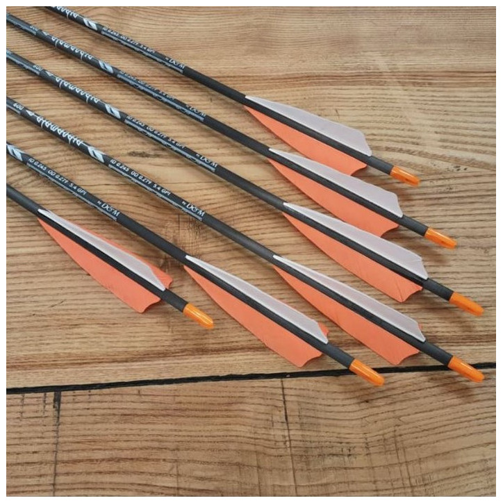 6er Set Carbonpfeil Defender Custom3