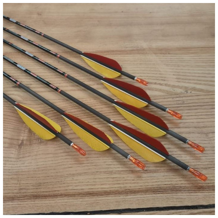 6er Set Carbonpfeil Slimline Skylon