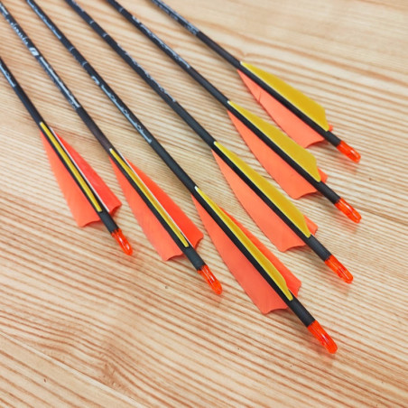 6er Set Carbonpfeil Alamandia Defender Custom4