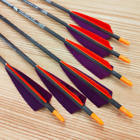 6er Set Carbonpfeil Alamandia Defender Custom6