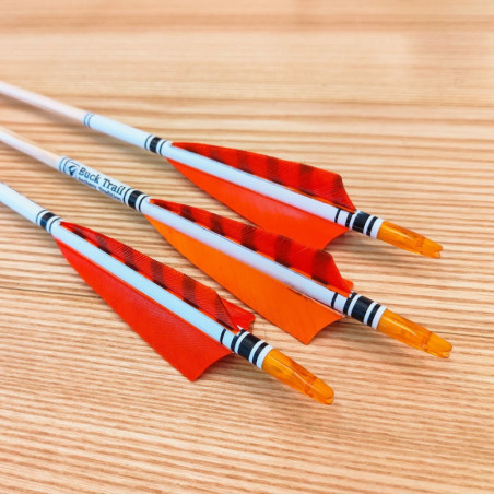 6er Set Holzpfeil BT Deluxe
