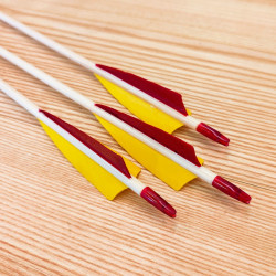 6er Set Holzpfeil BT Deluxe