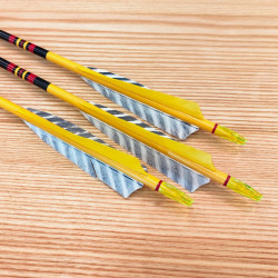 6er Set GL Holzpfeil 50/55 32"