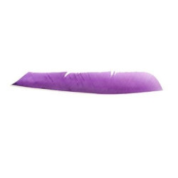 Feder RW, volle Länge, violett