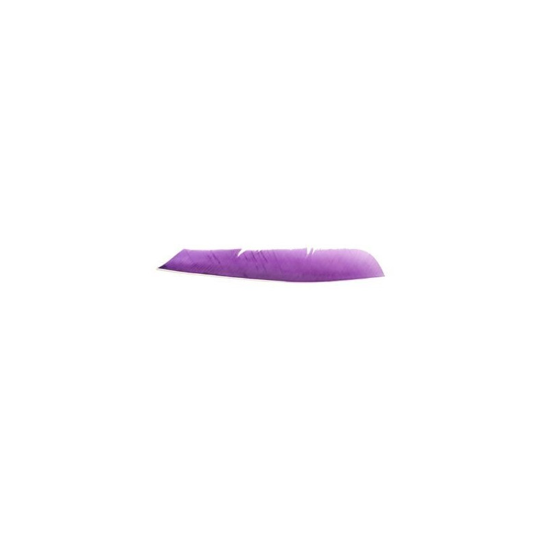 Feder RW, volle Länge, violett