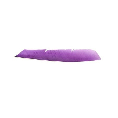 Feder RW, volle Länge, violett